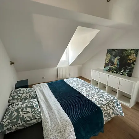 Cocooning Au Centre-ville De * Estrasburgo