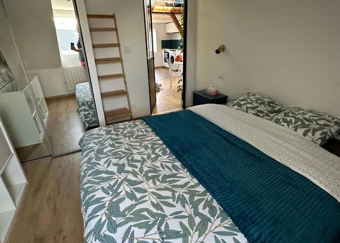 Apartmán Cocooning Au Centre-ville De Štrasburk