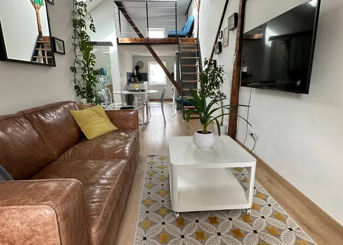 Cocooning Au Centre-ville De Straatsburg