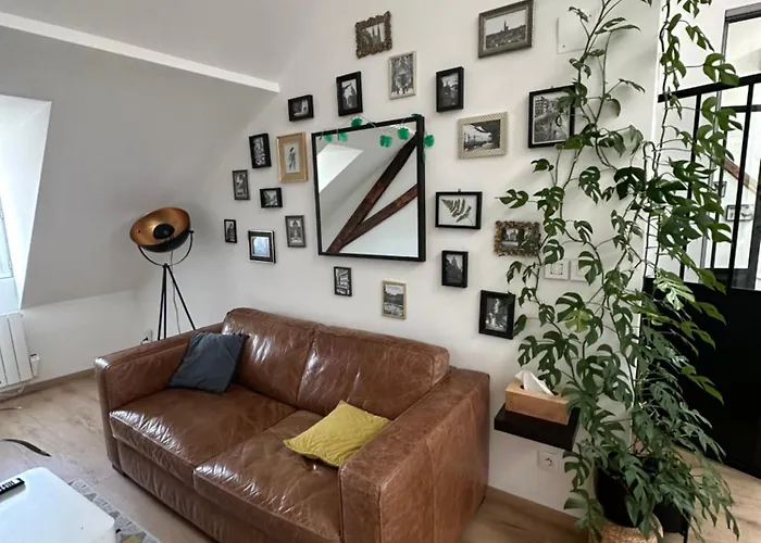 Appartement Cocooning Au Centre-ville De